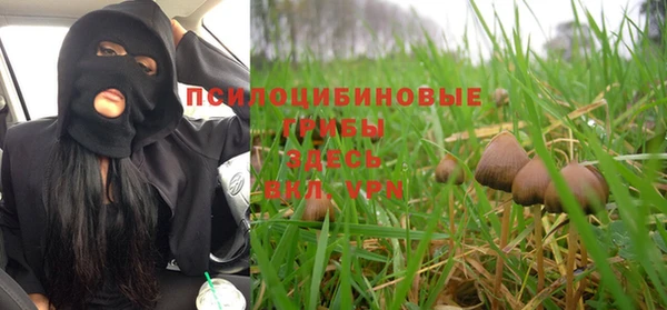 скорость Арсеньев