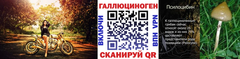 гидра ТОР  Славгород  Галлюциногенные грибы GOLDEN TEACHER 